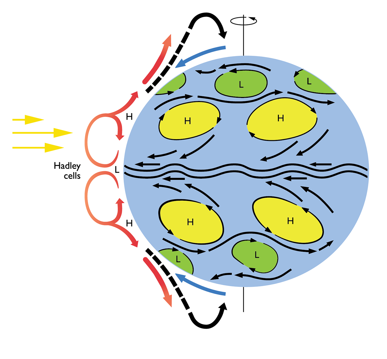Glob med Hadley cells och Västvindsbältet