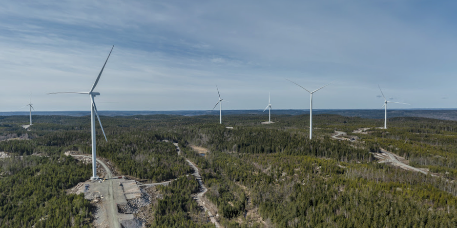 Rödene vindpark 2022. (Google maps. Foto: Jann Lipka, 2022)